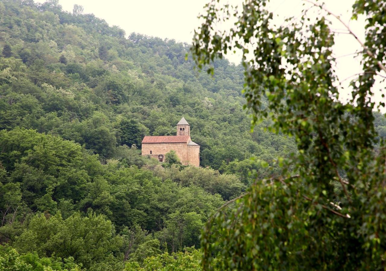 Beau Vallon - Gite Et Chambres D'Hotes Pyrenees-Mediterranee - Pays Catalan Sahorre Экстерьер фото