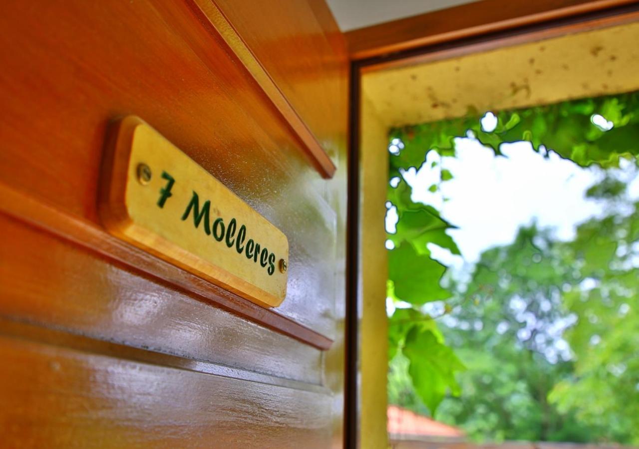 Beau Vallon - Gite Et Chambres D'Hotes Pyrenees-Mediterranee - Pays Catalan Sahorre Экстерьер фото